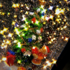 겨울 - 싸이퍼(Ciipher) 원(WON)