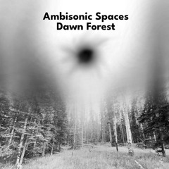 Dawn Forest Binaural.wav