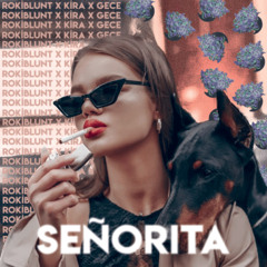 Señorita (kira x gece)
