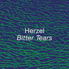PREMIERE - Herzel - Bitter Tears (Funnuvojere Records)
