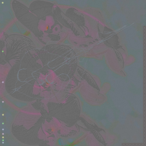 P̷R̷E̷M̷I̷E̷R̷E̷ 🦛✨ Francesco Skip - Breathworks [Grid]