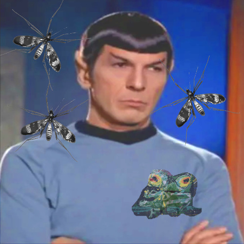 it does take a lot of annoying mosquitoes to feed all the frogs at the swamp