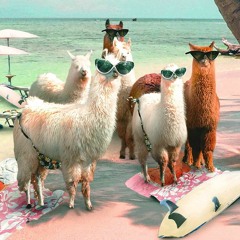 LLaMA Dream June Promo Breakcore Mix 2022