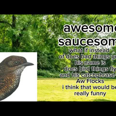 awesome saucesome - Bird.EXE OST