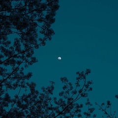 이누야샤 (犬夜叉) OST - 시대를 초월한 마음 [Covered By YEN & Reve]