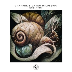 Grammik & Darko Milosevic - Ecliptic (Original Mix)