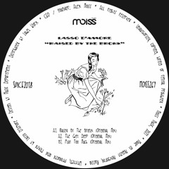 Lasso D'Amore - Raised By The Bronx (Original Mix)