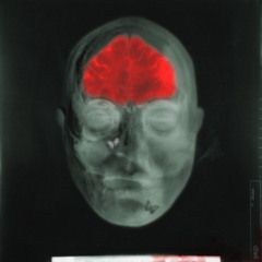 Pain (prod.sammyboy!)