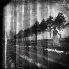 A Winter Dream - Sketch Edit