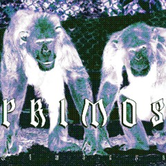 POZO-SHASMAITONxLUCCIANO