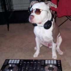 thirtyMinutesOfMadness