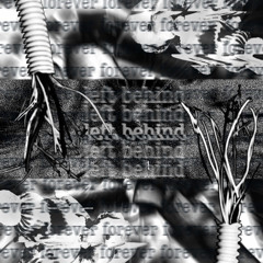 01 REC-2025-06-11