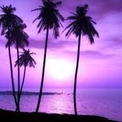 Gary K - Vivid Sound Sessions 135 Summer Favorites