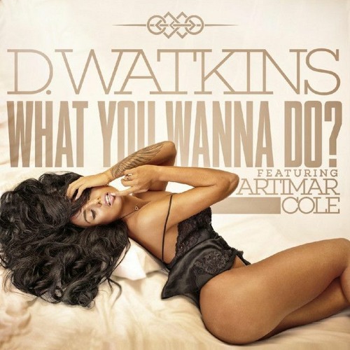What You Wanna Do? ft. Artimar Cole