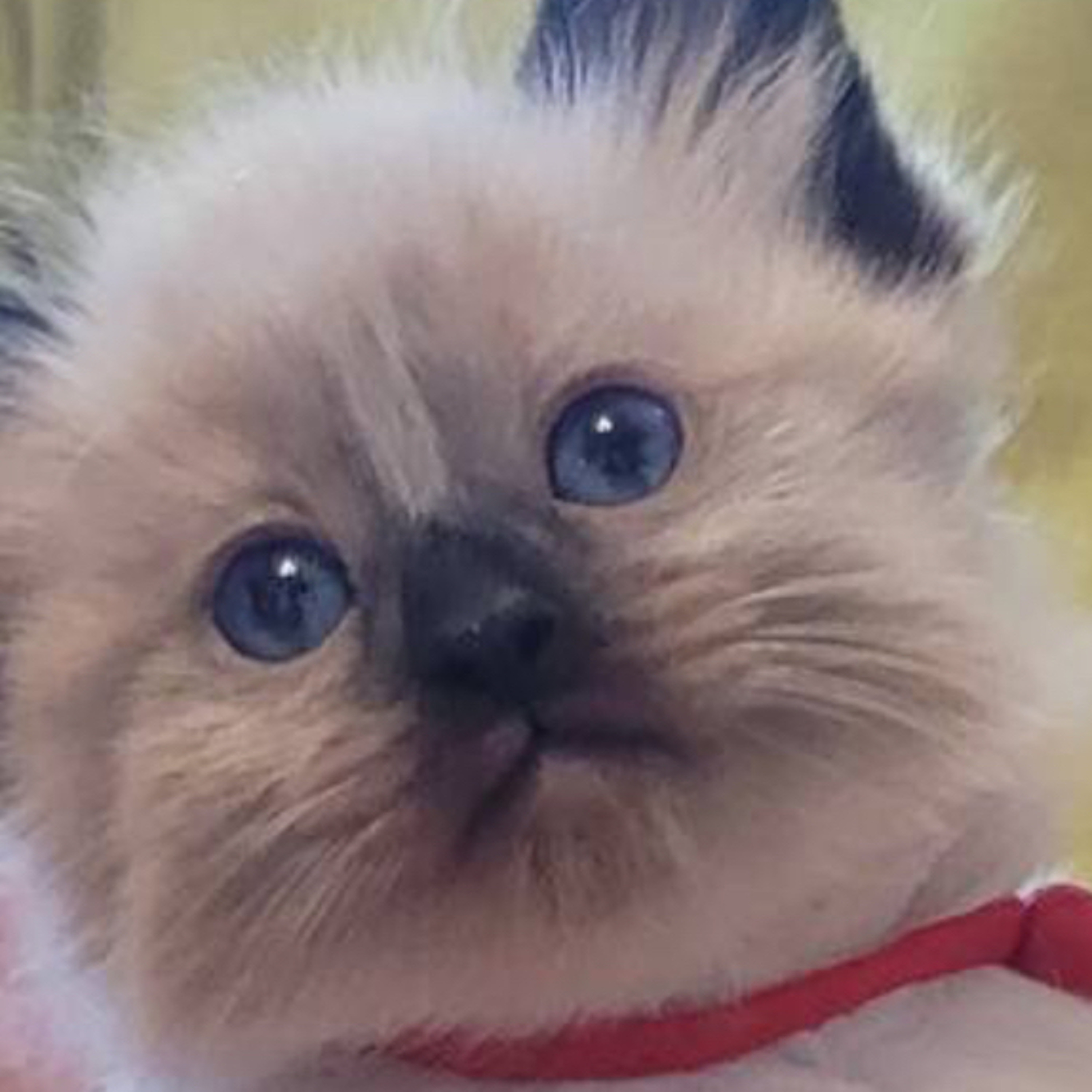 sure as shit dont wanna