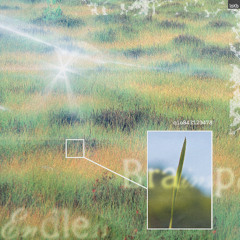 PREMIERE: Blue Ringed Baby - Endless Brainspill