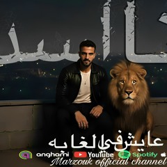 أنا أسد عايش في الغابة - هتشغل وضع الخصية وتكرف على جدع | مرزوق | توزيع مهاب التونسي (مهرجانات 2026)