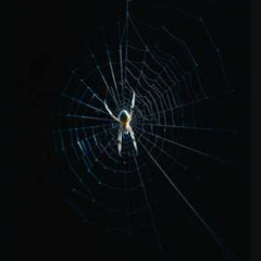 La Toile du Temps
