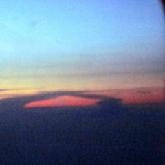 Cult Member - Day You Left (Unreleased)