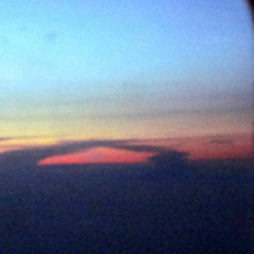 Cult Member - Day You Left (Unreleased)