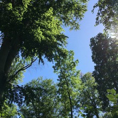 4 English FE session 4 Let your ears hang low