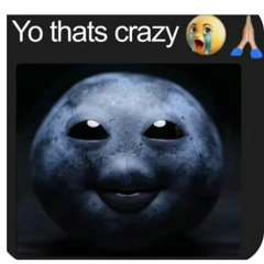 Shit Dammet @llauennn