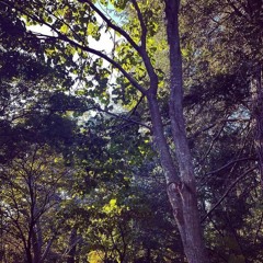 agape w kamojin immanuel (suban)