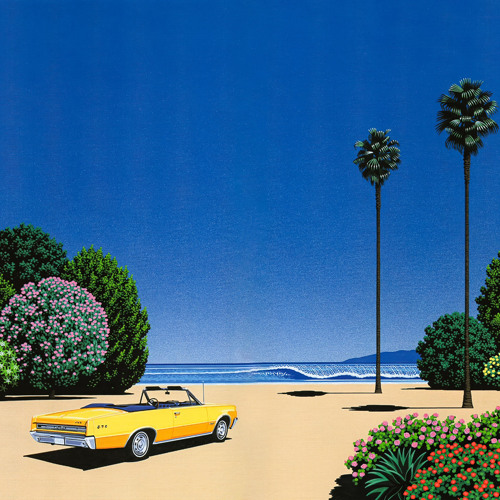 palm trees in the summer breeze