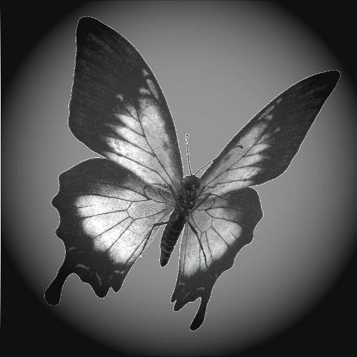 Chrome Butterfly (Bonus track) (2022 Remaster)  [2006]