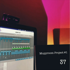 [Mupyroom Project #1] 37