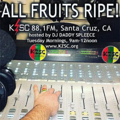 2011 04-26 KZSC All Fruits Ripe DJ Spleece