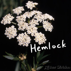 [ 05 ] Hemlock