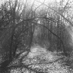 elusive elements - lost