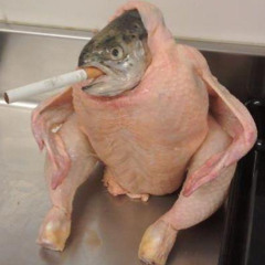 Get Out Into the COOL!! (YM2612 + SN76489)