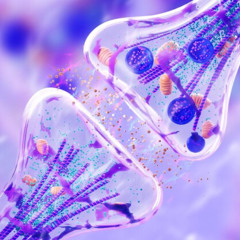 #5//C₉H₁₃NO₃-Rush (summer trance)