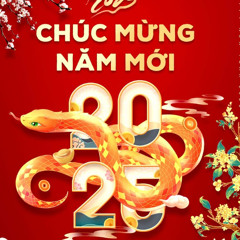 NST Tết 2025