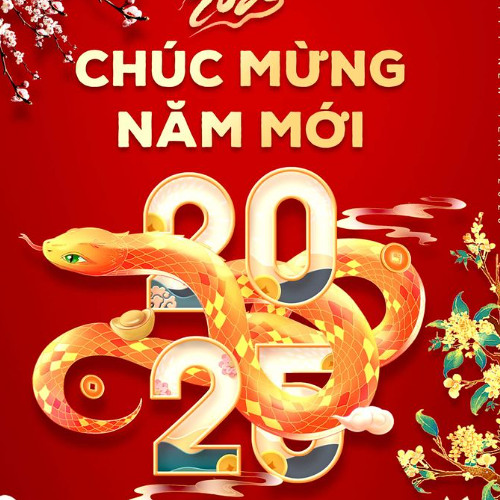 NST Tết 2025