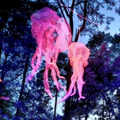 Ella & Vika I Kallisto Festival 2024