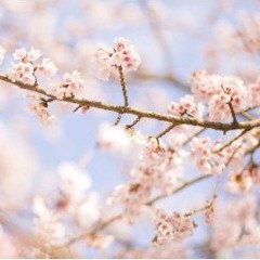 confusion (prod. dreamboi ricas)