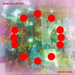Afternoon Electro - Samen Radio