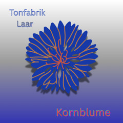 Kornblume