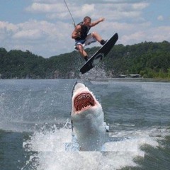 BoogieMonster - Jumped The Shark