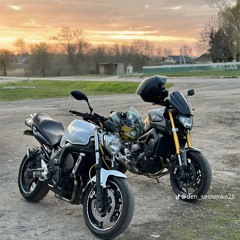 Slaughter house sped up remix (Shamuz.net)