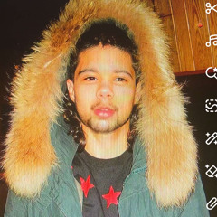 fakemink