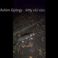 Áchim György - kitty cici cicc