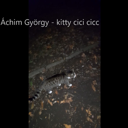 Áchim György - kitty cici cicc