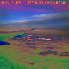 B: Strangelove's Brain (brain, blood and bone mix)