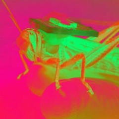 Gloomy - Digital Locusts
