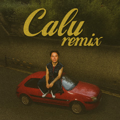 James Hype - Waterfalls (Calu Remix) FREE DL