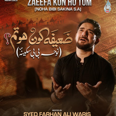 Zaeefa Kon Ho Tum  --  Bibi Sakina (s.a)  --  Farhan Ali Waris  --  2025